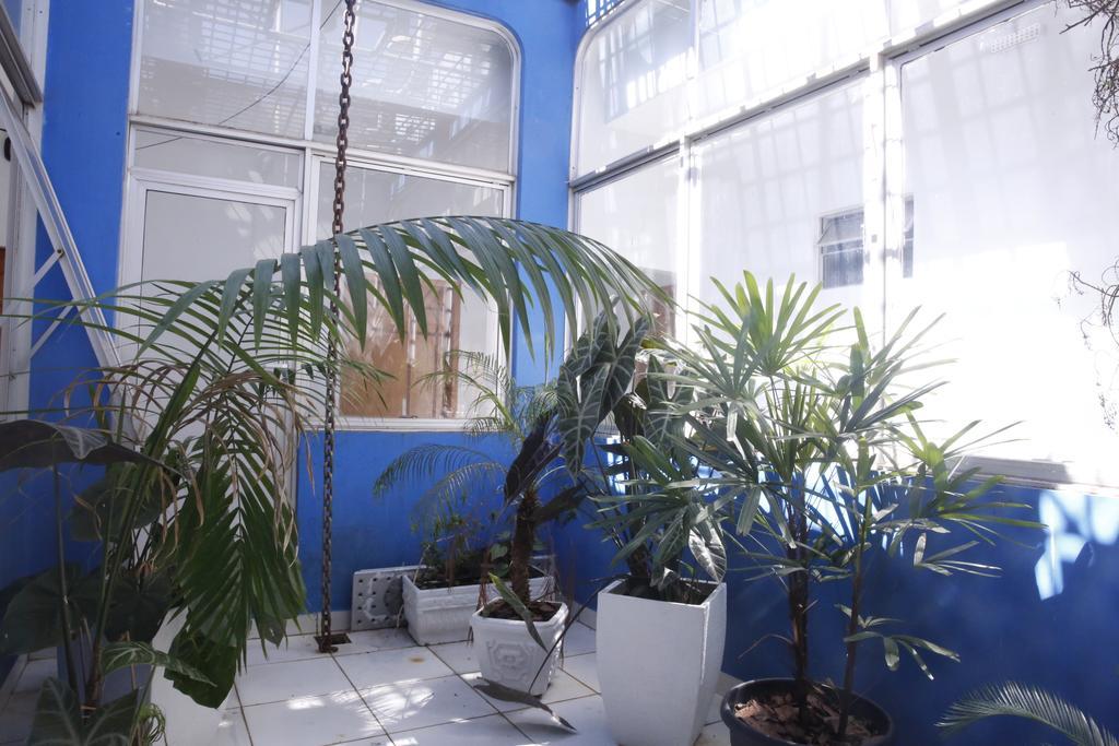 Bellonorte Hotel Altamira  Dış mekan fotoğraf